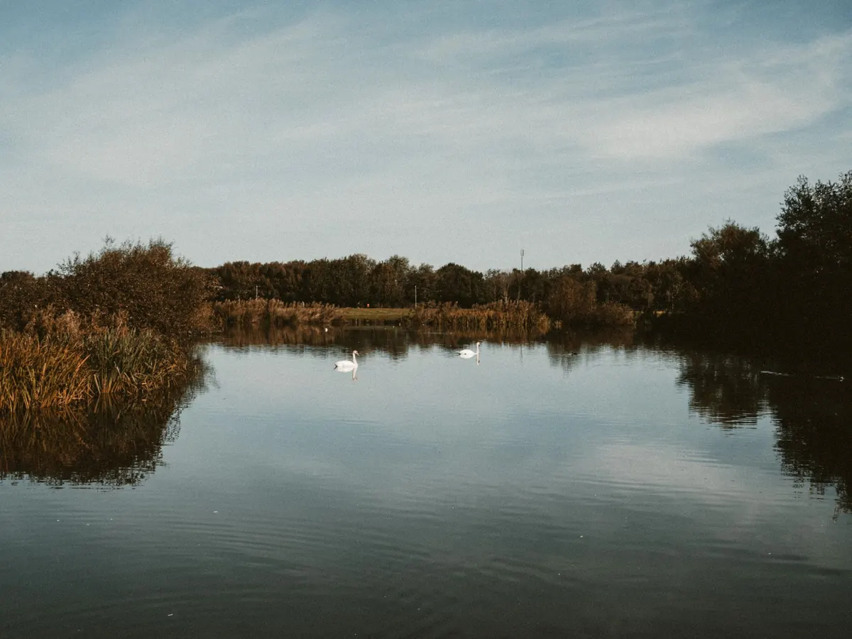 Five Common Mistakes When Wild Swimming in a Scottish Loch